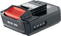 B 12-30 12V 배터리 콤팩트, 초경량 12V 리튬 이온 배터리